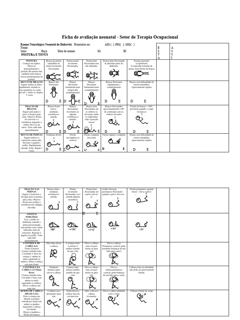 Avaliação Dubowitz Atualizada | PDF