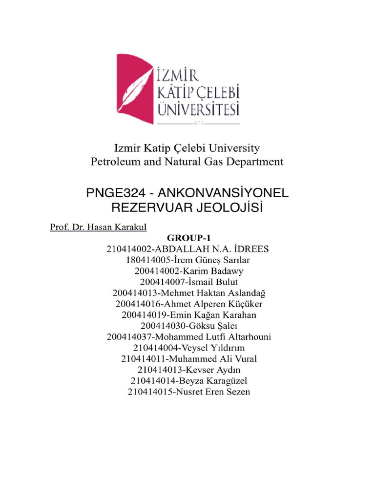 Report Ank | PDF | Petroleum Reservoir | Strength Of Materials