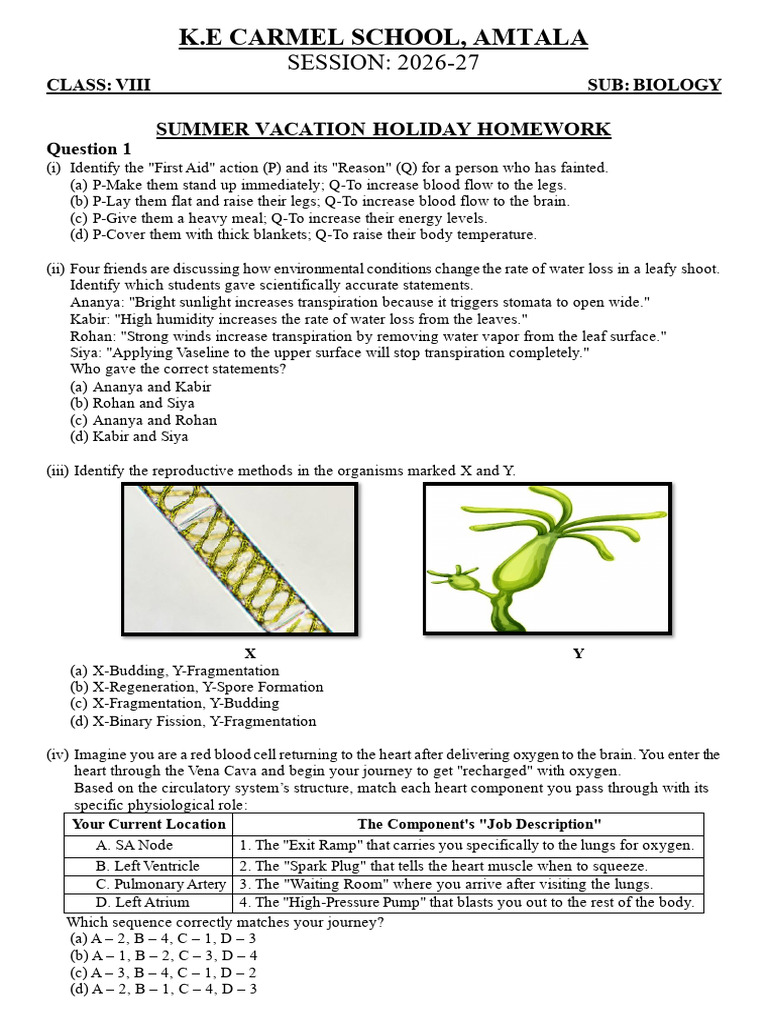 Class Viii Biology Holiday Homework 2026-27 | PDF | Fertilisation ...