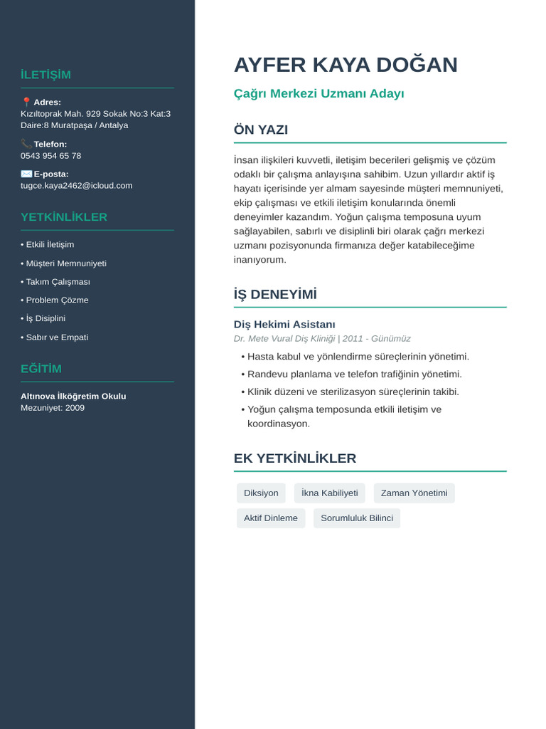 Ayfer Kaya Dogan CV | PDF