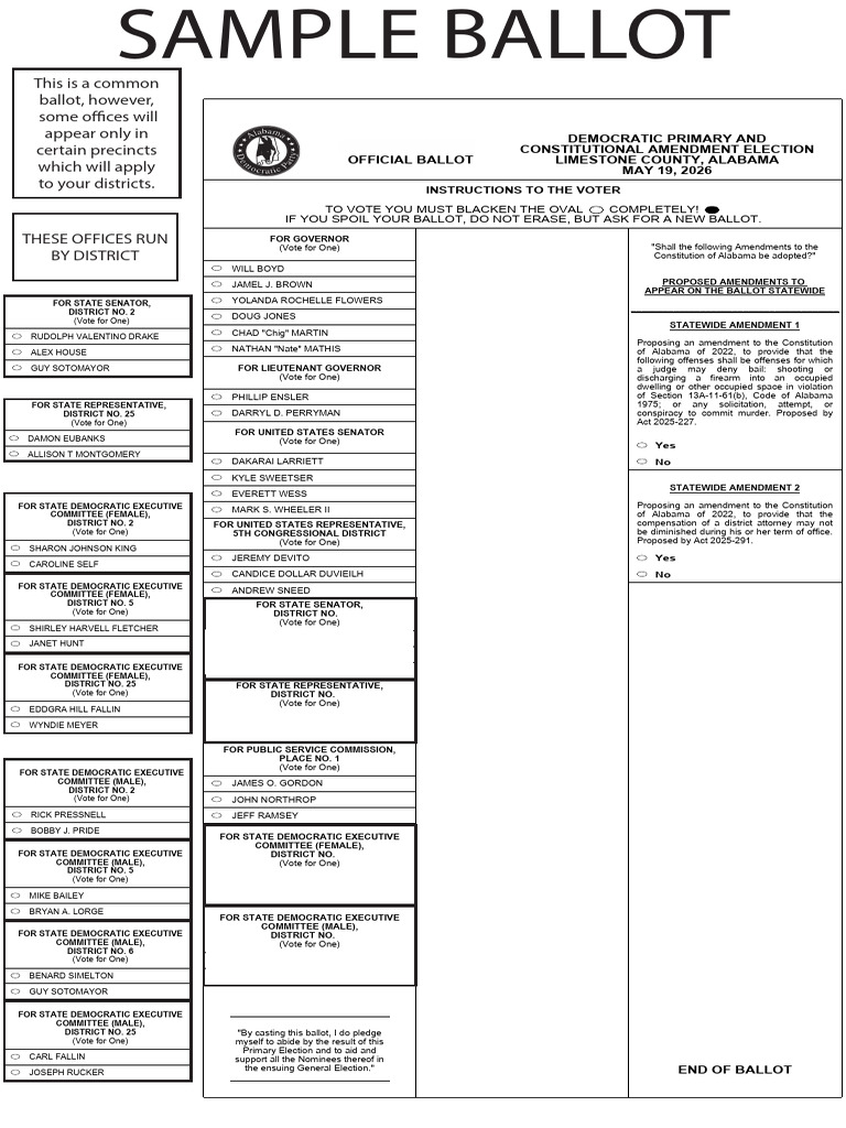 Primary Election Sample Ballot (Democrat) | PDF | Political Events ...