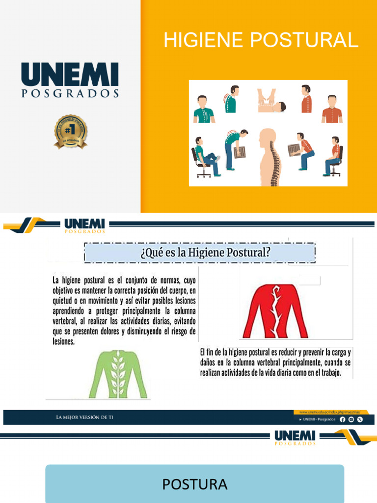 Higiene Postural | PDF | Dolor lumbar | Sistema musculoesquelético