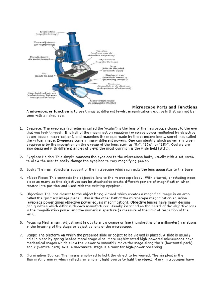 Microscope Parts and Functions Lens (Optics) Optics