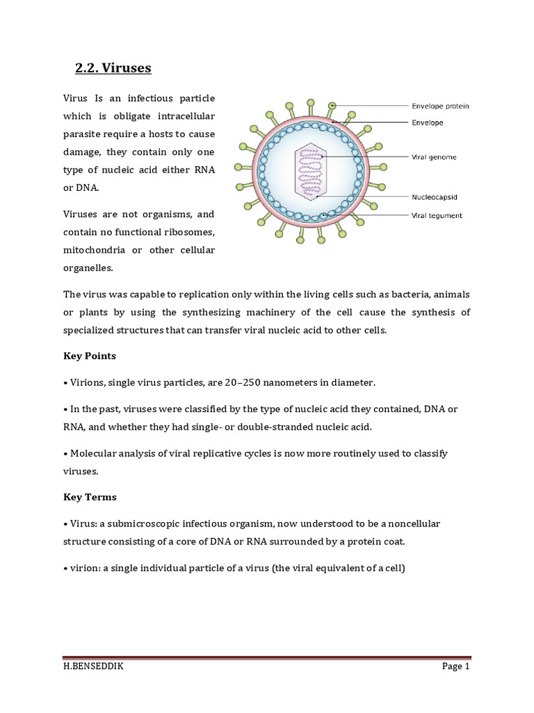 3.Viral Evolution, Morphology, And Classification | PDF | Virus | Cell ...