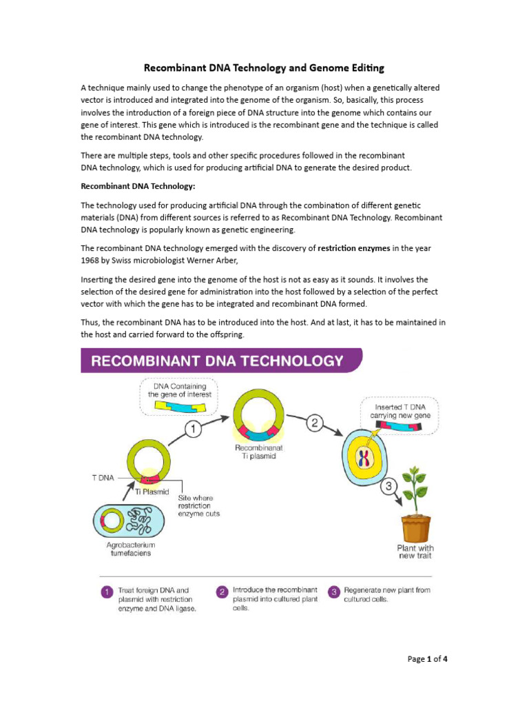 Recombinant DNA Technology | PDF | Molecular Cloning | Recombinant Dna