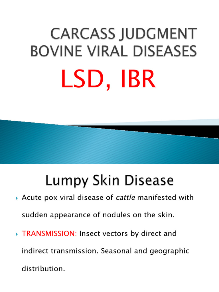 27-Minp Lecture (LSD, Ibr) | PDF | Respiratory Tract | Immunology