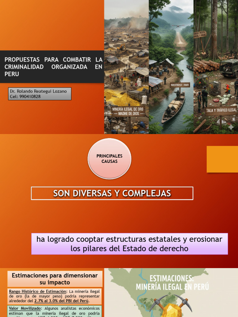 Propuestas Para Combatir La Criminalidad Organizada en Peru | PDF