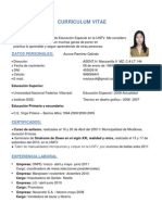 Curriculum Vitae 1