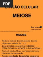 MEIOSE