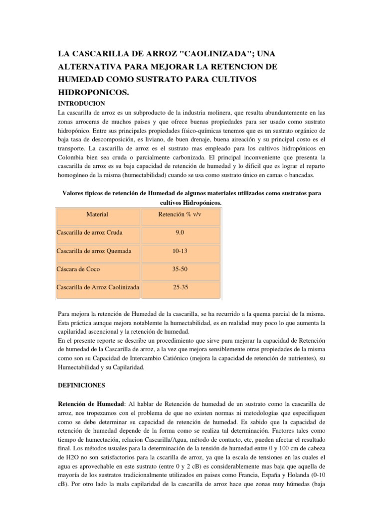 Hidroponia Ainfo Inia Uy