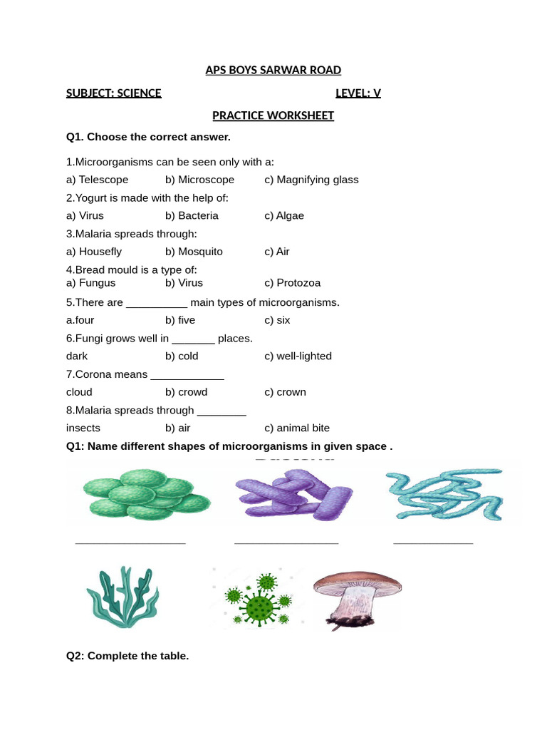 Practice Worksheet , Level 5 | PDF
