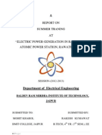 Summer Training Report at Atomic Power Station, Rawatbhata
