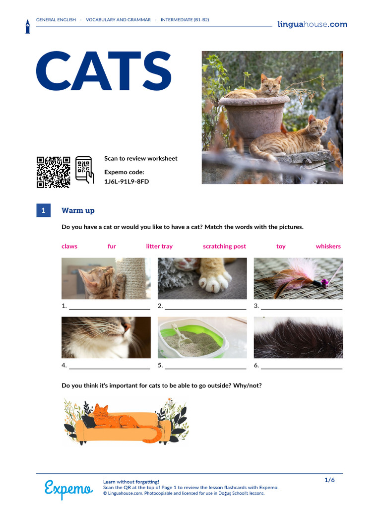 Cats British English Student B1 B2 | PDF | Cats | Verb