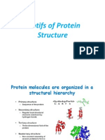 Motifs of Protein Structure