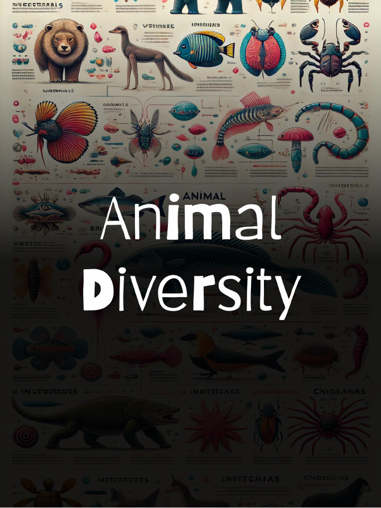 Animal Diversity | PDF