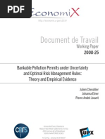 Bankable Pollution Permits under Uncertainty and Optimal Risk Management Rules