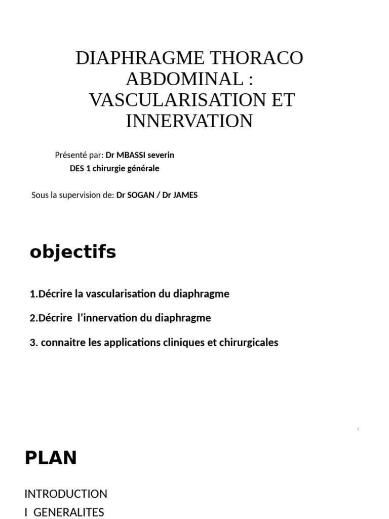 Diaphragme Thoraco Abdominale Vascularisation Et Innervation | PDF ...