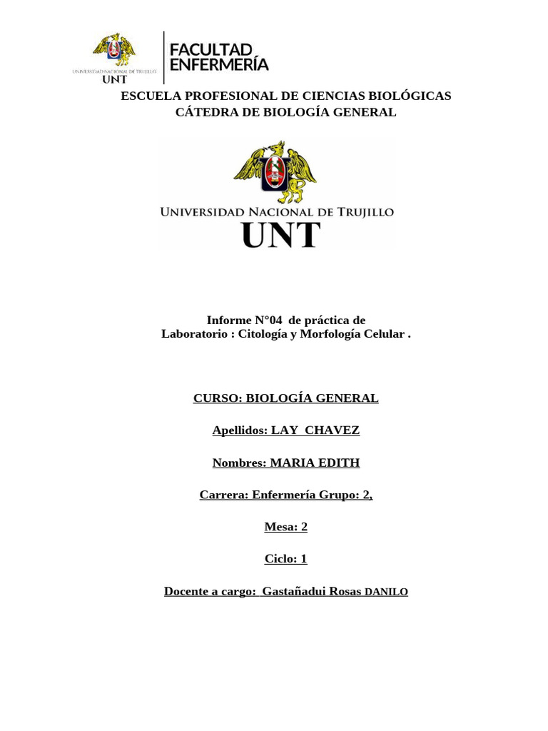 Informe - 3ra Practica - Docx Maria Lay Biologia | PDF | Biología ...