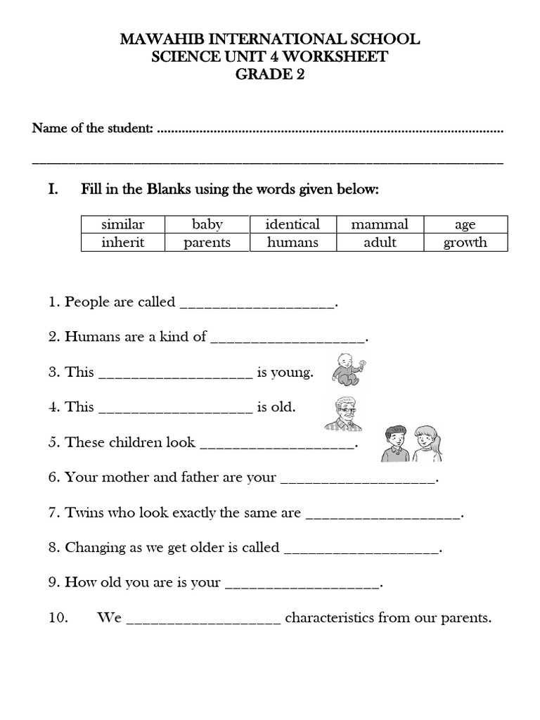 Grade 2 Science Worksheet Unit 4 | PDF