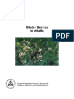 Blister Beetles in Alfalfa: Cooperative Extension Service - Circular 536 College of Agriculture and Home Economics