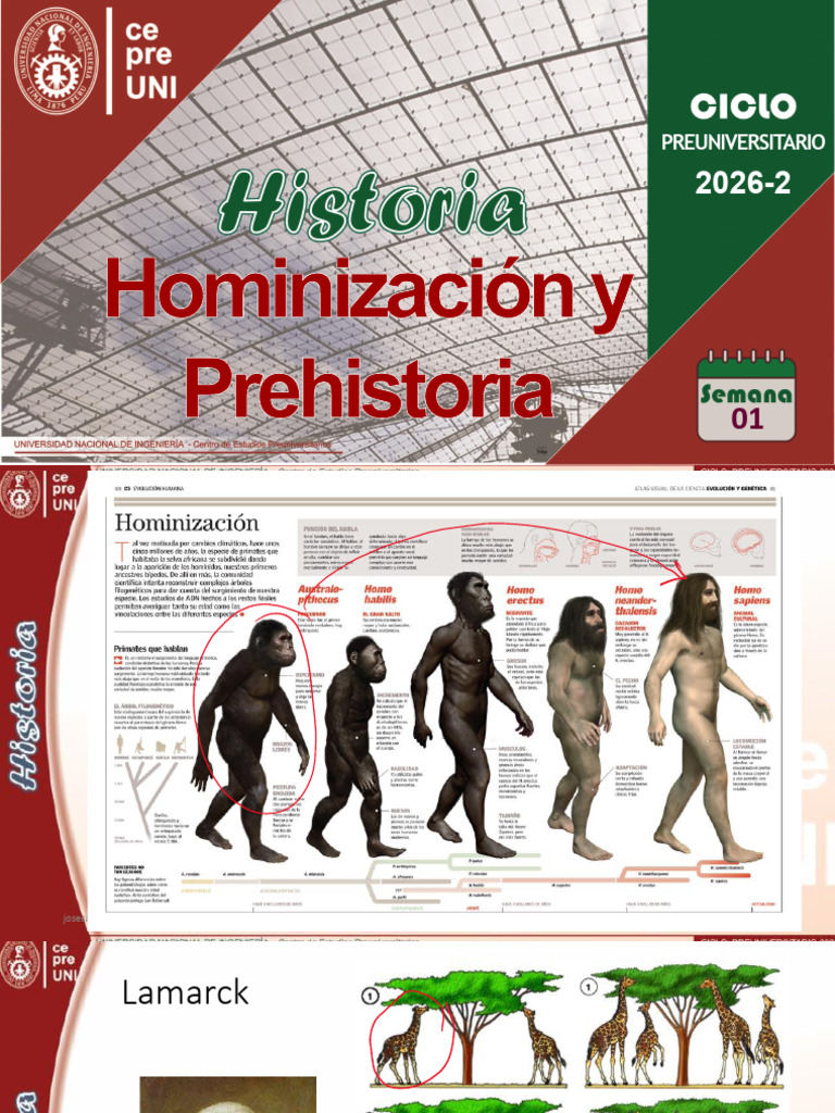 Historia 2027-1 - Semana 1 - Mio | PDF | Evolución humana | Homo