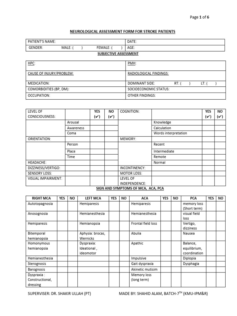 Neuro Assesment Form by SHAHID ALAM | PDF