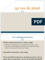 Voeding Van de Plant