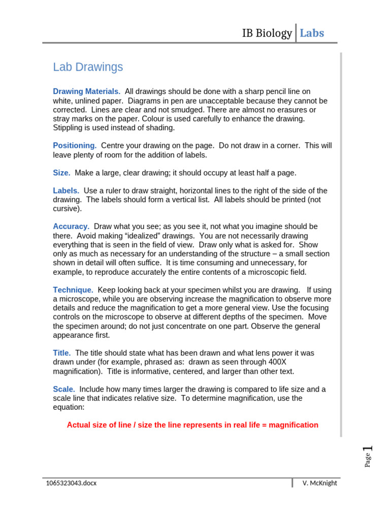 7. How to Make Accurate Lab Drawings | PDF | Drawing | Optics