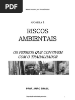 RISCOS AMBIENTAIS