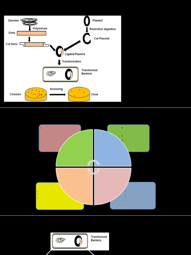 Molecular Biology_Lecture 10.7_Protein Overexpression | PDF | Gene ...