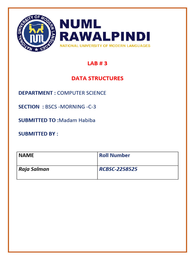 DS - Lab 3 Raja Salman | PDF | Computer Programming | Software Engineering