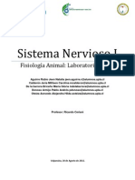 Sistema Nervioso I (Marco teórico)