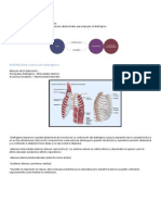 resumen2 ventilacion pulmonar