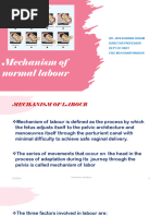 Mechanism of Labour in LOA Position | PDF | Pelvis | Anatomical Terms ...