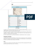 Download Aspergillus Niger by Martin Laguna SN104047317 doc pdf