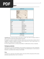 Download Aspergillus Niger by Martin Laguna SN104047317 doc pdf