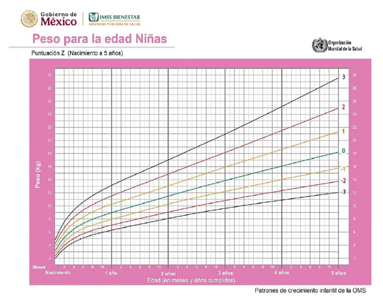 Oms CPP 03 Peso Nina 00 05 | PDF