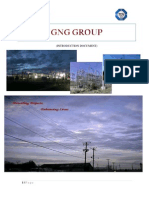 GNG Group Profile 2012