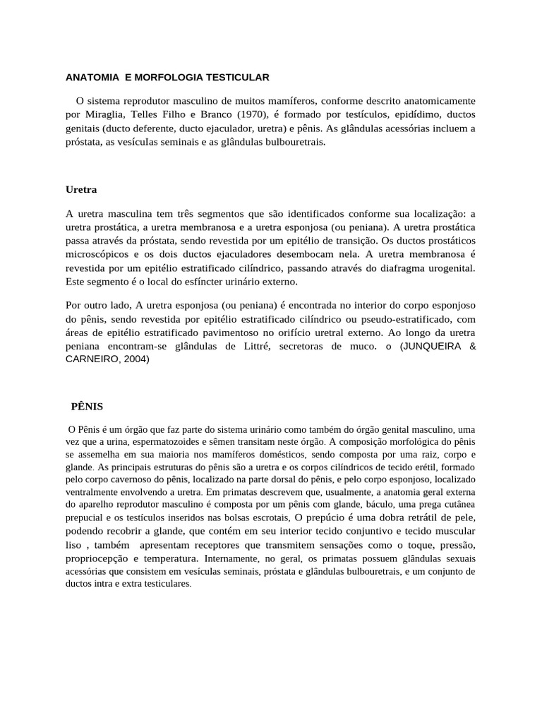 Anatomia e Morfologia Testicular | PDF | Próstata | Hormônio luteinizante