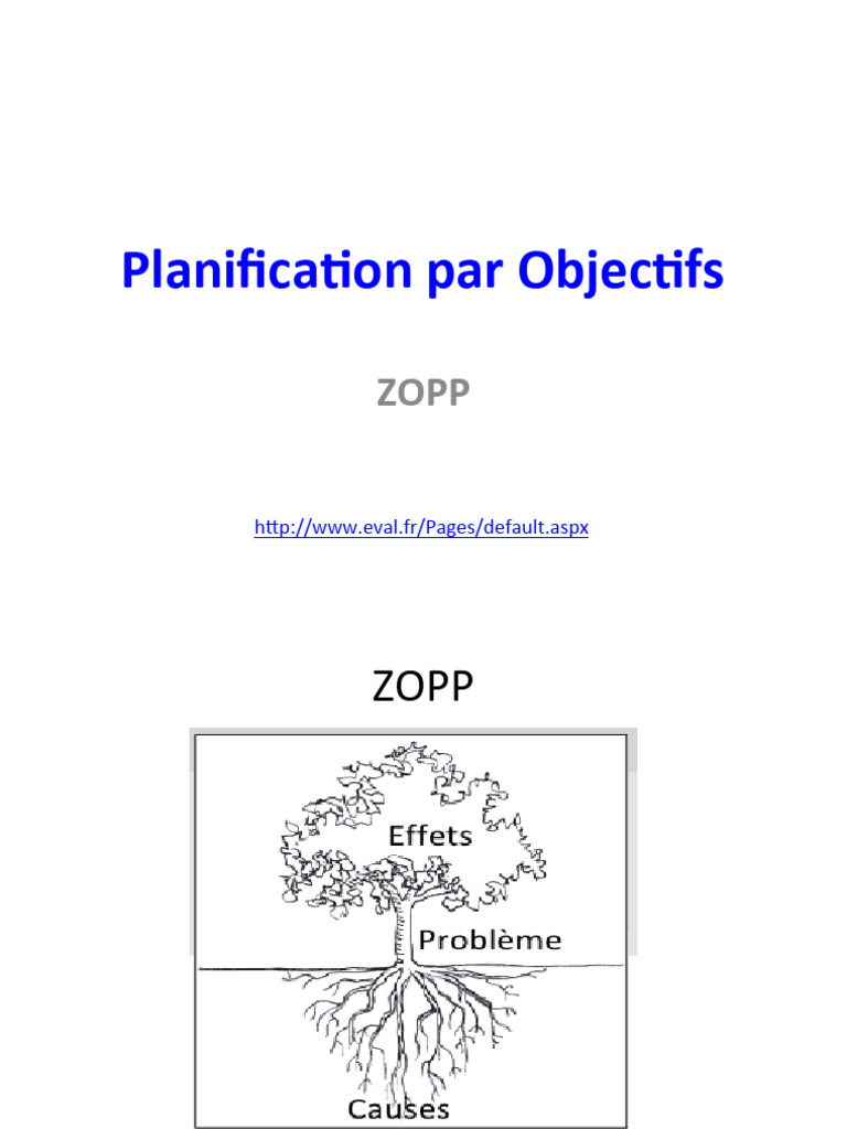 ZOPP | PDF