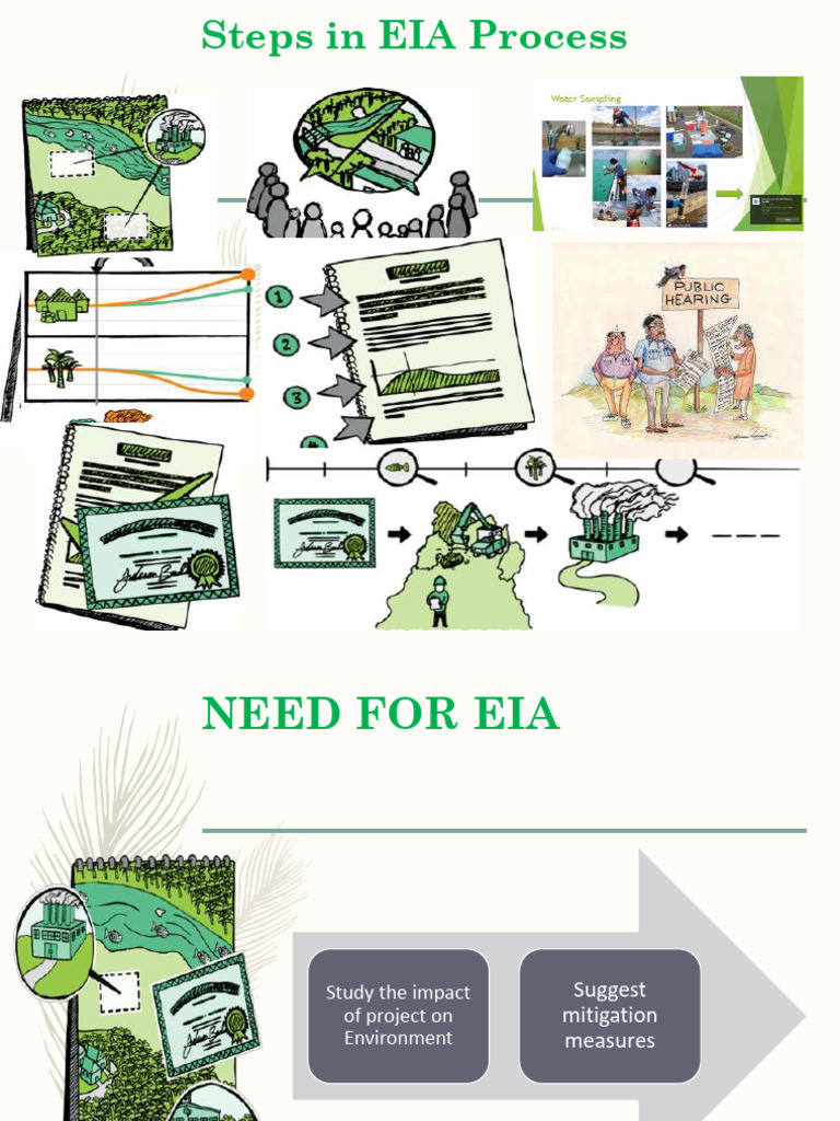 EIA Process | PDF | Environmental Impact Assessment | Natural Environment