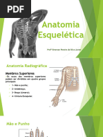 Anatomia dos Membros Superiores e Cabeça | PDF | Anatomia humana ...