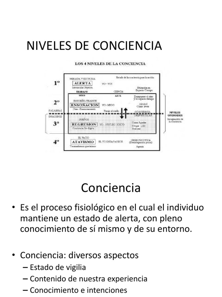 Niveles y Estados de Conciencia | PDF | Corteza cerebral | Coma