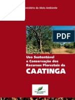 CAATINGA