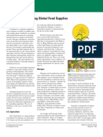 Fertilizers-Sustaining Global Food Supplies