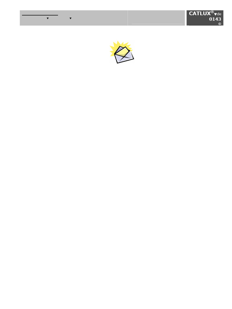 Schulaufgabe: Catlux | PDF