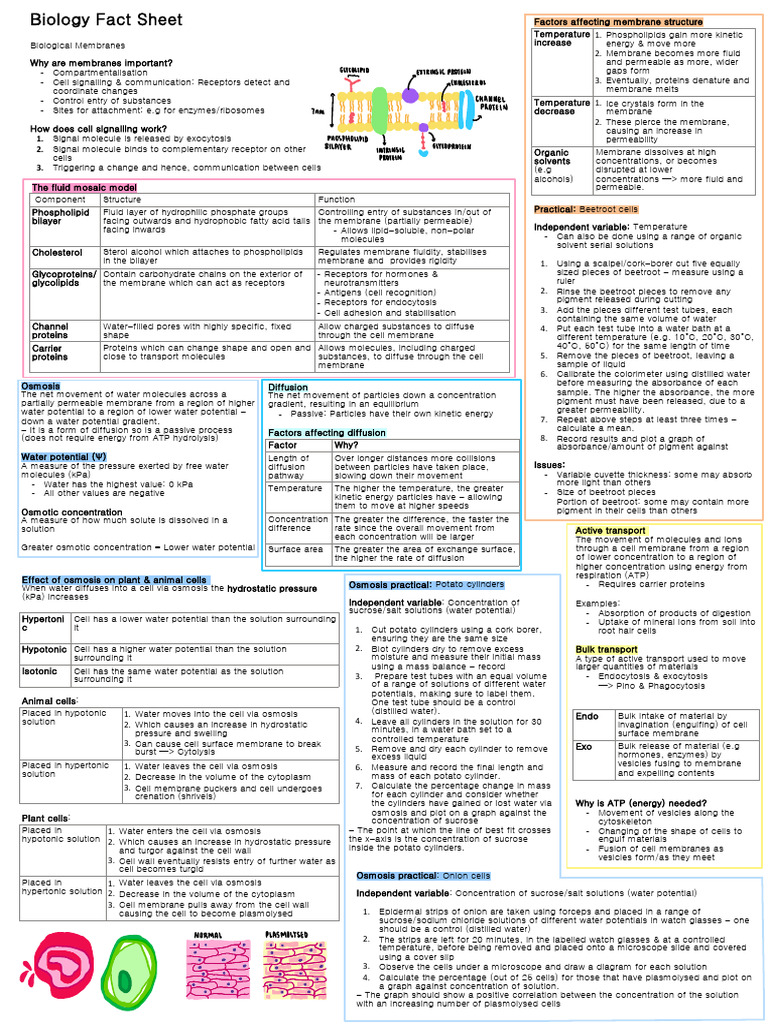Biology Fact Sheet Biological Membranes | PDF | Cell Membrane | Osmosis