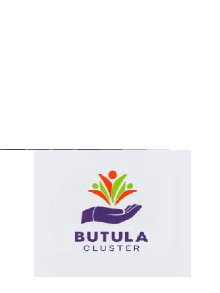 Butula Cluster | PDF | Committee | Debt