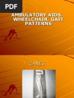 Download 001 p Ambulatory Aids Presentation by Floriza de Leon SN104166942 doc pdf