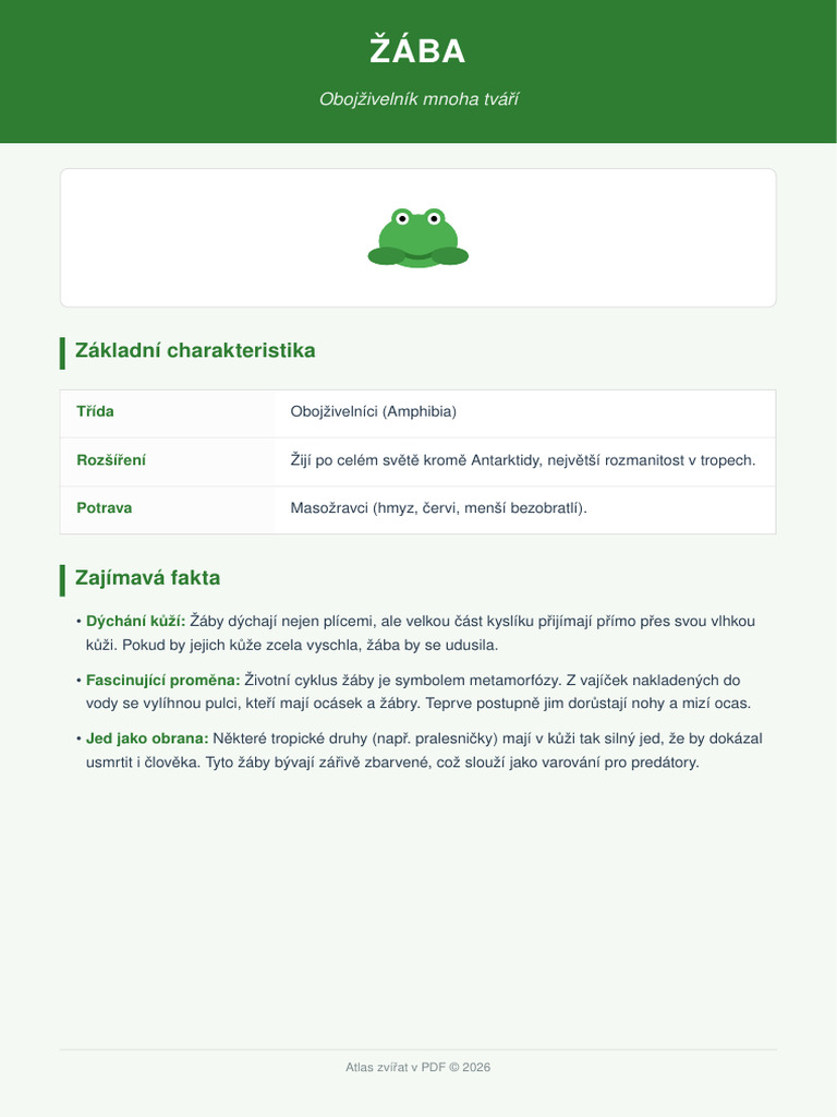Zaba Profil | PDF